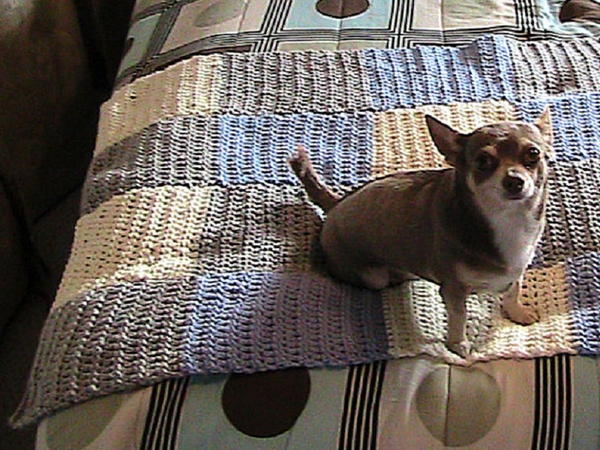 Bernat Charity Lap Blanket Bernat Charity Lap Blanket