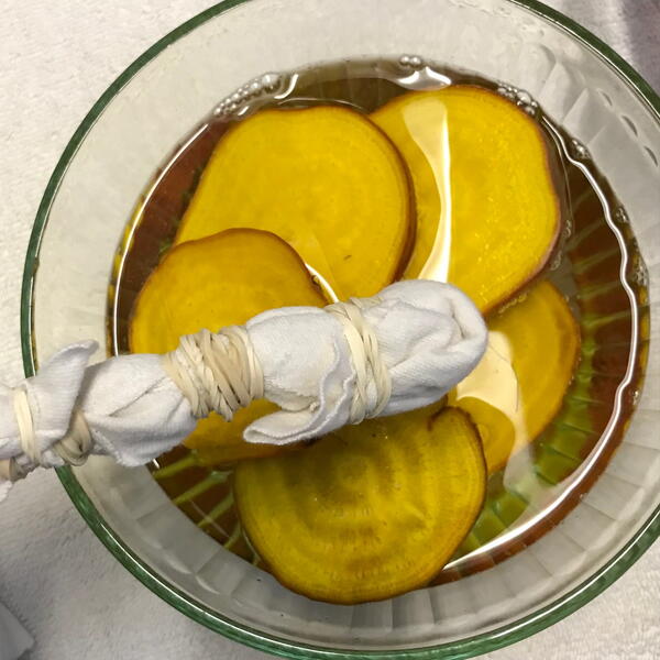 Submerge the fabric in the fresh yellow beet dye. Submerge the fabric in the fresh yellow beet dye.
