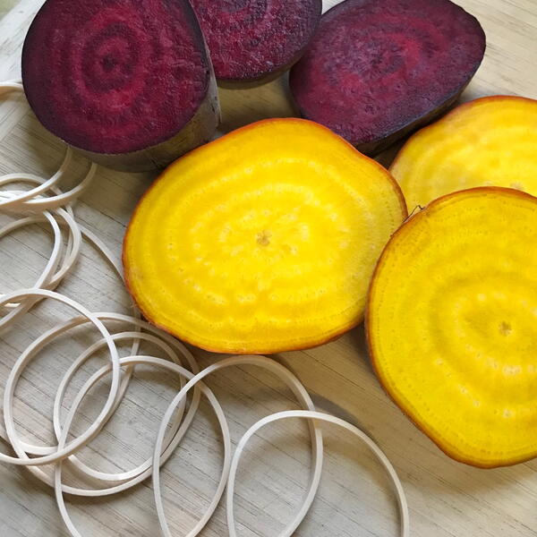 Red and Yellow Beets and Rubber Bands Red and Yellow Beets and Rubber Bands