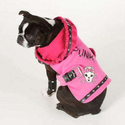 Punk Your Pup
