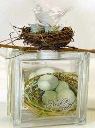 Neat Nest Egg Bank