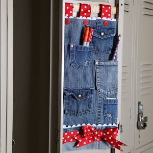 Jean-ious Pocket Organizer