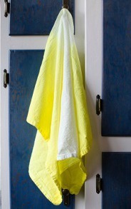 Sunshine State Tea Towels