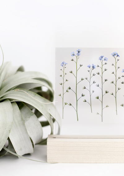 Blooming Pressed Flower Craft
