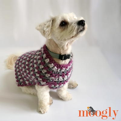 Well Dressed Dog Coat