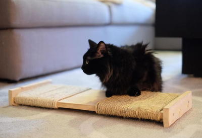 DIY Cat Scratching Post