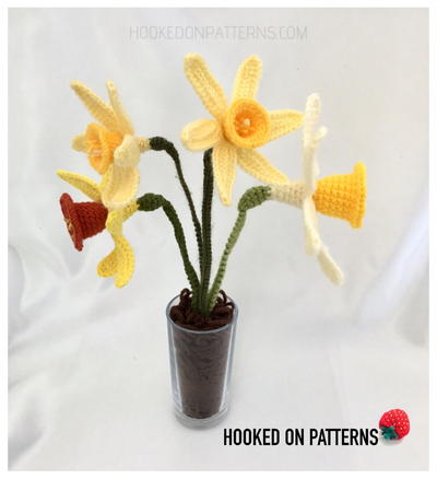 Spring Daffodils